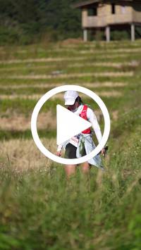 BIB:  <button type="button" onclick="openModal(26786980)" class="btn btn-primary btn-sm float-right" data-toggle="modal" data-target=".modal-high-quality">
                <i class="fa fa-download"></i> Download
                </button>